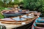 Picture of OLD WOODEN BOATS IN KILLARNEY NATIONAL PARK-IRELAND