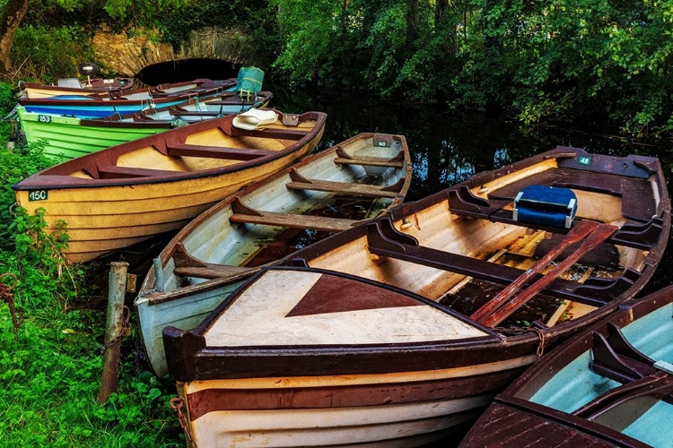 Picture of OLD WOODEN BOATS IN KILLARNEY NATIONAL PARK-IRELAND