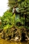 Picture of ITALY-ROME PINCIO-PINCIAN HILL-VILLA BORGHESE GARDENS-CLEPSYDRA-OROLOGIO AD ACQUA-WATER CLOCK 