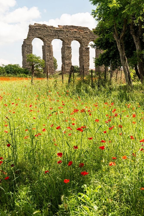 Picture of ITALY-ROME PARC OF THE AQUEDUCTS (PARCO DEGLI ACQUEDOTTI)-ACQUA CLAUDIO