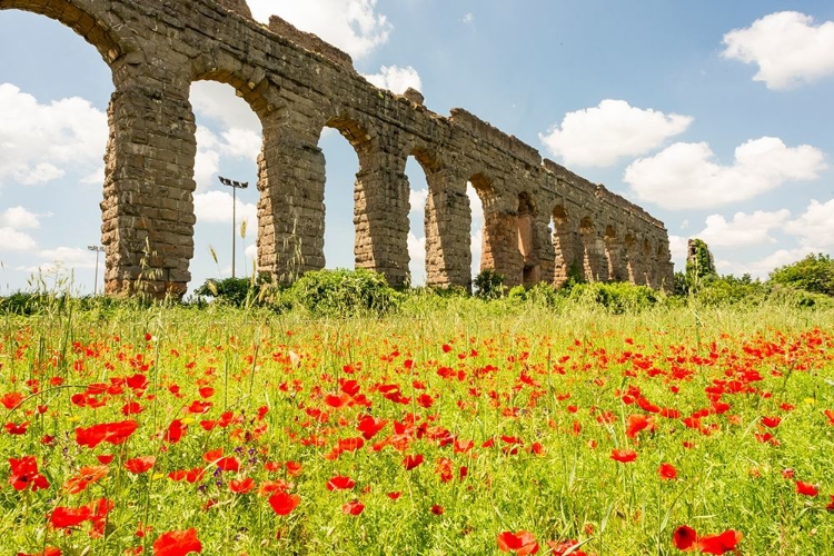 Picture of ITALY-ROME PARC OF THE AQUEDUCTS (PARCO DEGLI ACQUEDOTTI)-ACQUA CLAUDIO