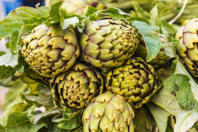 Picture of TRAPANI PROVINCE-TRAPANI ARTICHOKES FOR SALE AT THE MARKET IN TRAPANI