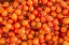 Picture of TRAPANI PROVINCE-TRAPANI TOMATOES FOR SALE AT THE MARKET IN THE TOWN OF TRAPANI