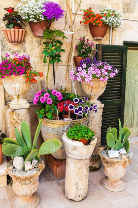 Picture of ITALY-APULIA-METROPOLITAN CITY OF BARI-MONOPOLI FLOWERS IN PLANTERS OUTSIDE A STONE BUILDING