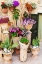 Picture of ITALY-APULIA-METROPOLITAN CITY OF BARI-MONOPOLI FLOWERS IN PLANTERS OUTSIDE A STONE BUILDING