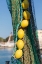 Picture of ITALY-APULIA-PROVINCE OF BARLETTA-ANDRIA-TRANI-TRANI CLOSE-UP OF FISHING NET AND FLOATS