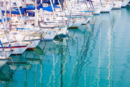 Picture of WHITE SAILBOATS IN BLUE WATER