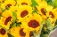 Picture of ITALY-APULIA-METROPOLITAN CITY OF BARI-LOCOROTONDO SUNFLOWERS FOR SALE IN AN OUTDOOR MARKET