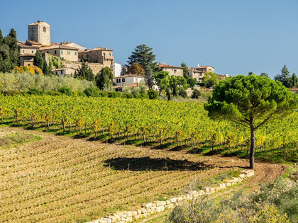 Picture of ITALY-CHIANTI TUSCAN HOMES IN THE TOWN OF PANZANO WITH VINEYARD BELOW