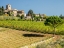 Picture of ITALY-CHIANTI TUSCAN HOMES IN THE TOWN OF PANZANO WITH VINEYARD BELOW