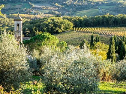 Picture of ITALY-CHIANTI PIEVE DI SANTA MARIA NOVELLA NEAR RADDA IN CHIANTI