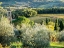 Picture of ITALY-CHIANTI PIEVE DI SANTA MARIA NOVELLA NEAR RADDA IN CHIANTI