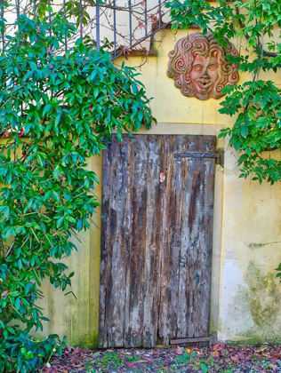 Picture of ITALY-CHIANTI OLD WOODEN DOOR BENEATH A STAIRWAY WITH CLIMBING VINES AND POTTERY ART WORK