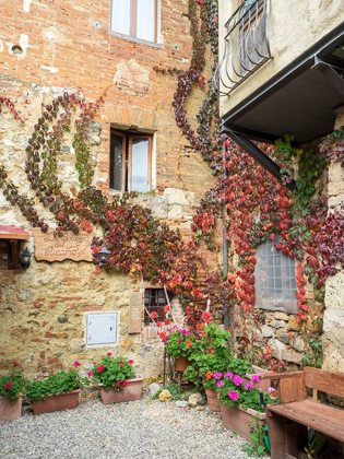 Picture of ITALY-CHIANTI BACK STREET ALLEYWAY WITH FALL COLORED CLIMBING VINE