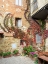 Picture of ITALY-CHIANTI BACK STREET ALLEYWAY WITH FALL COLORED CLIMBING VINE