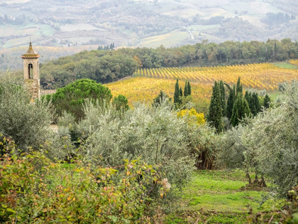 Picture of ITALY-CHIANTI PIEVE DI SANTA MARIA NOVELLA NEAR RADDA IN CHIANTI