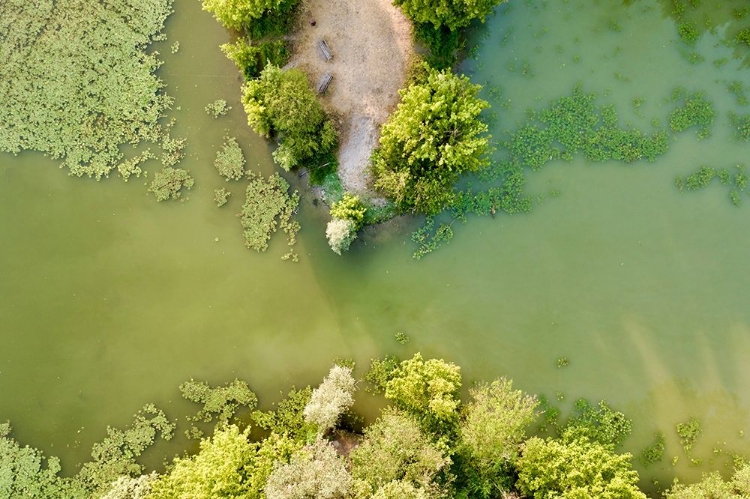 Picture of ITALY-MANTUA-MANTUA LAKE AERIAL VIEW,