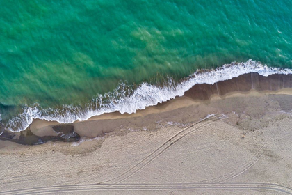 Picture of ITALY-TUSCANY-TORRE DEL LAGO PUCCINI-DUNES AND FREE BEACH