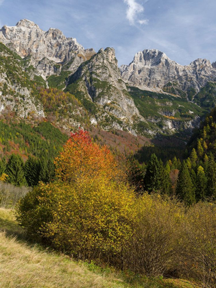 Picture of PEAKS OF DOLOMITI DI BRENTA HIGH ABOVE VAL DALGONE DOLOMITI DI BRENTA  ITALY-TRENTINO