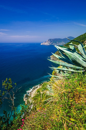 Picture of THE LIGURIAN SEA FROM THE SENTIERO AZZURRO (BLUE TRAIL) NEAR VERNAZZA-CINQUE TERRE-LIGURIA-ITALY