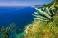 Picture of THE LIGURIAN SEA FROM THE SENTIERO AZZURRO (BLUE TRAIL) NEAR VERNAZZA-CINQUE TERRE-LIGURIA-ITALY
