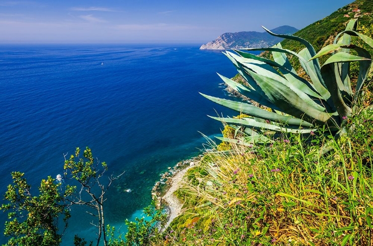 Picture of THE LIGURIAN SEA FROM THE SENTIERO AZZURRO (BLUE TRAIL) NEAR VERNAZZA-CINQUE TERRE-LIGURIA-ITALY