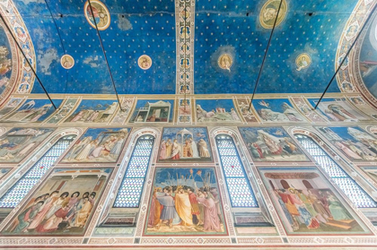 Picture of ITALY-PADUA-SCROVEGNI CHAPEL CEILING WITH FRESCOES PAINTED BY GIOTTO IN THE 14TH CENTURY