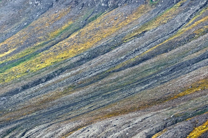 Picture of PATTERN ON MOUNTAIN SLOPE-SVALBARD-NORWAY