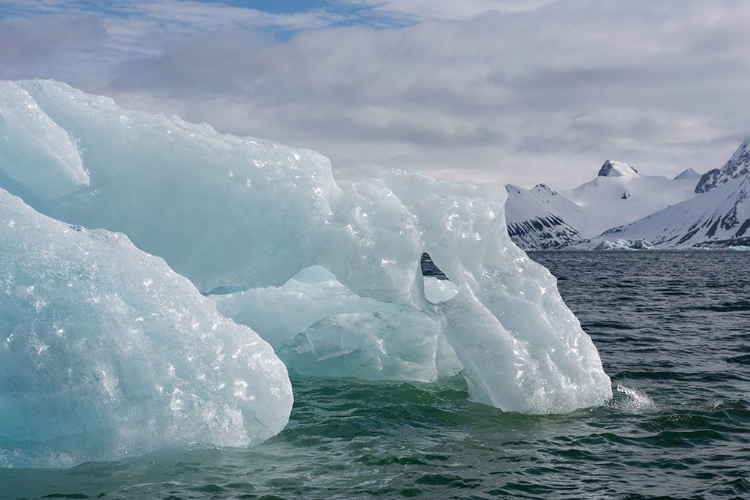 Picture of NORWAY-SVALBARD-SPITSBERGEN-HORNSUND