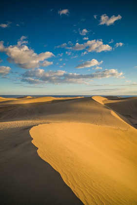 Picture of SPAIN-CANARY ISLANDS-GRAN CANARIA ISLAND-MASPALOMAS-MASPALOMAS DUNES NATIONAL PARK