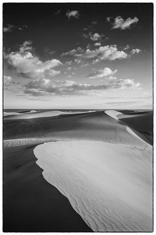 Picture of SPAIN-CANARY ISLANDS-GRAN CANARIA ISLAND-MASPALOMAS-MASPALOMAS DUNES NATIONAL PARK