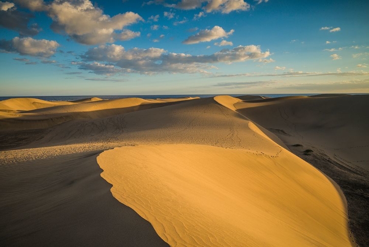 Picture of SPAIN-CANARY ISLANDS-GRAN CANARIA ISLAND-MASPALOMAS-MASPALOMAS DUNES NATIONAL PARK