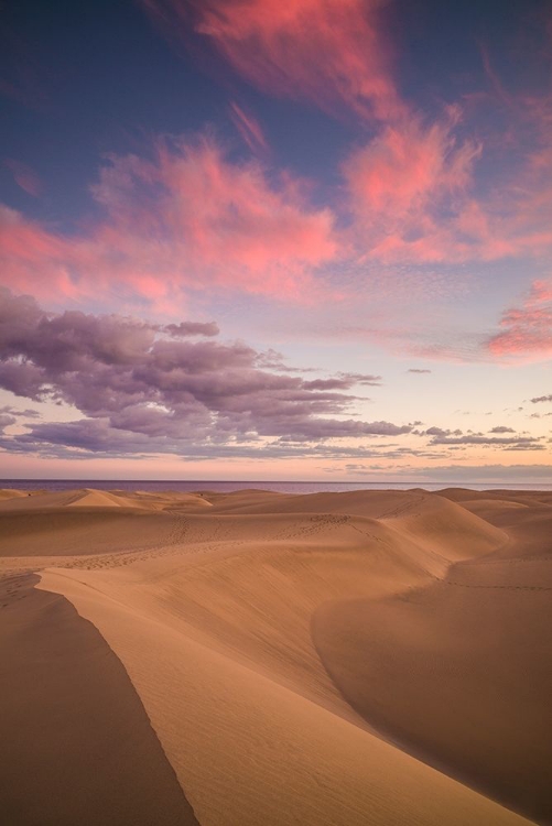 Picture of SPAIN-CANARY ISLANDS-GRAN CANARIA ISLAND-MASPALOMAS-MASPALOMAS DUNES NATIONAL PARK-DUSK