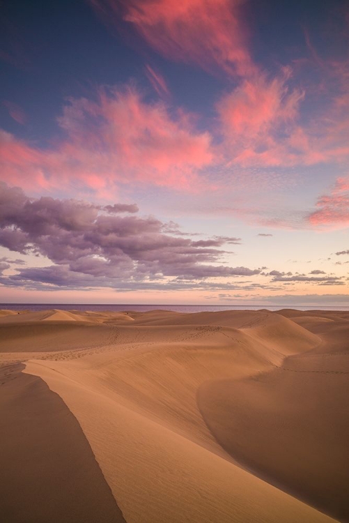 Picture of SPAIN-CANARY ISLANDS-GRAN CANARIA ISLAND-MASPALOMAS-MASPALOMAS DUNES NATIONAL PARK-DUSK