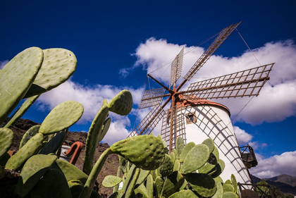 Picture of SPAIN-CANARY ISLANDS-GRAN CANARIA ISLAND-PUERTO DE MOGAN-ANTIQUE WINDMILL