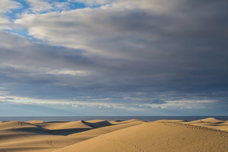 Picture of SPAIN-CANARY ISLANDS-GRAN CANARIA ISLAND-MASPALOMAS-MASPALOMAS DUNES NATIONAL PARK