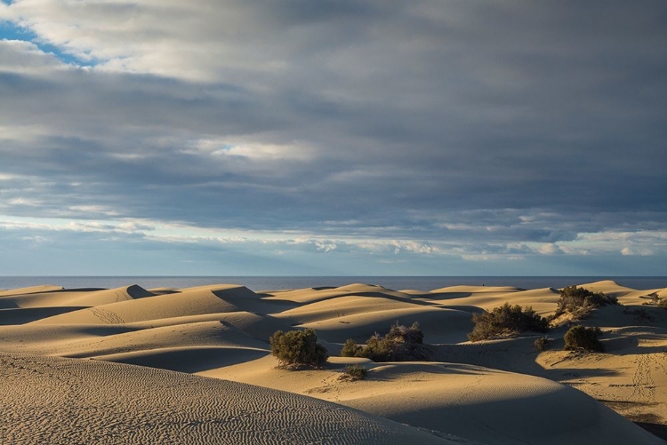 Picture of SPAIN-CANARY ISLANDS-GRAN CANARIA ISLAND-MASPALOMAS-MASPALOMAS DUNES NATIONAL PARK