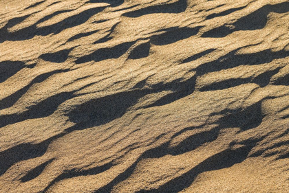 Picture of SPAIN-CANARY ISLANDS-GRAN CANARIA ISLAND-MASPALOMAS-MASPALOMAS DUNES NATIONAL PARK