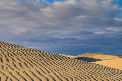 Picture of SPAIN-CANARY ISLANDS-GRAN CANARIA ISLAND-MASPALOMAS-MASPALOMAS DUNES NATIONAL PARK