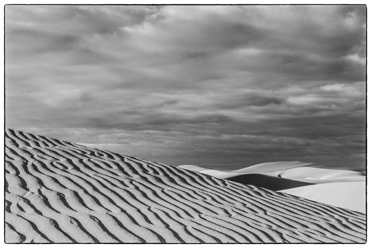 Picture of SPAIN-CANARY ISLANDS-GRAN CANARIA ISLAND-MASPALOMAS-MASPALOMAS DUNES NATIONAL PARK