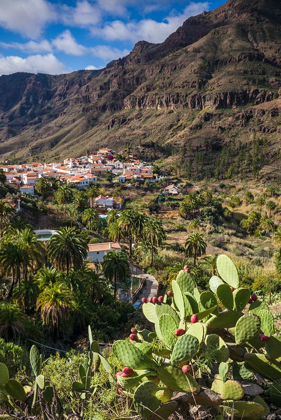 Picture of SPAIN-CANARY ISLANDS-GRAN CANARIA ISLAND-FATAGA-HIGH ANGLE VILLAGE VIEW