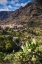 Picture of SPAIN-CANARY ISLANDS-GRAN CANARIA ISLAND-FATAGA-HIGH ANGLE VILLAGE VIEW