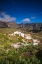 Picture of SPAIN-CANARY ISLANDS-GRAN CANARIA ISLAND-SAN BARTOLOME DE TIRAJANA-HIGH ANGLE VIEW OF TOWN