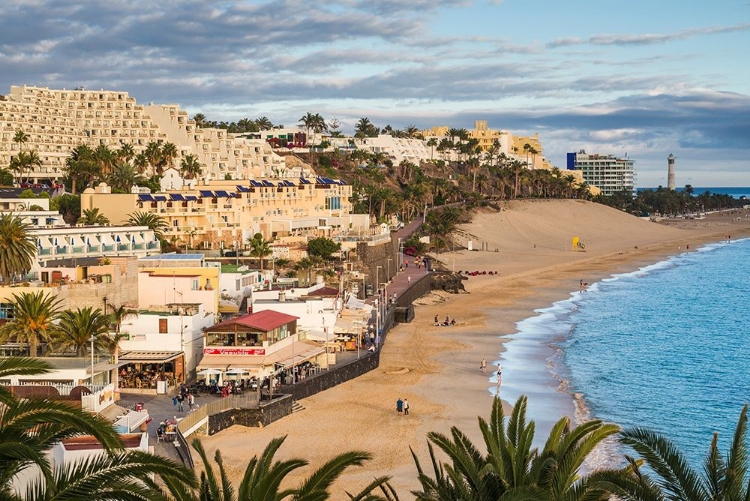 Picture of CANARY ISLANDS-FUERTEVENTURA ISLAND-MORRO JABLE-HIGH ANGLE VIEW OF PLAYA DE LA CEBADA BEACH-SUNSET