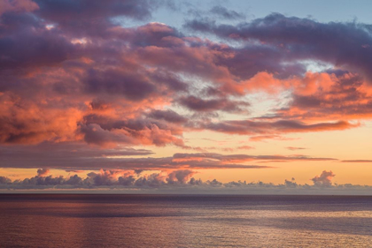 Picture of CANARY ISLANDS-FUERTEVENTURA ISLAND-MORRO JABLE-PLAYA DE LA CEBADA BEACH-SUNSET SKY