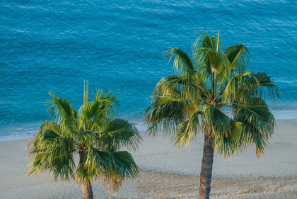 Picture of CANARY ISLANDS-FUERTEVENTURA ISLAND-MORRO JABLE-HIGH ANGLE VIEW OF PLAYA DE LA CEBADA BEACH