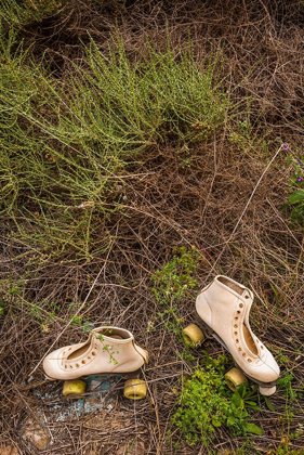 Picture of CANARY ISLANDS-FUERTEVENTURA ISLAND-PAJARA-ABANDONED ROLLER SKATES