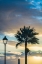 Picture of CANARY ISLANDS-FUERTEVENTURA ISLAND-MORRO JABLE-PLAYA DEL MATORRAL BEACH-PALM TREE-STREETLIGHT