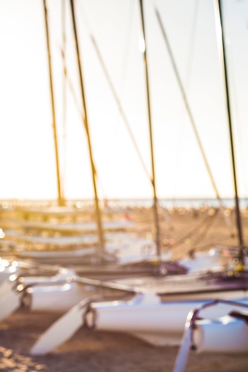 Picture of CANARY ISLANDS-FUERTEVENTURA ISLAND-MORRO JABLE-PLAYA DEL MATORRAL BEACH-SAILBOATS