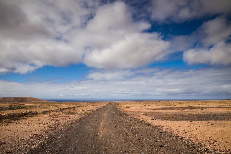 Picture of CANARY ISLANDS-FUERTEVENTURA ISLAND-PUNTO DE PASO CHICO-WEST COAST DESERT LANDSCAPE WITH ROAD